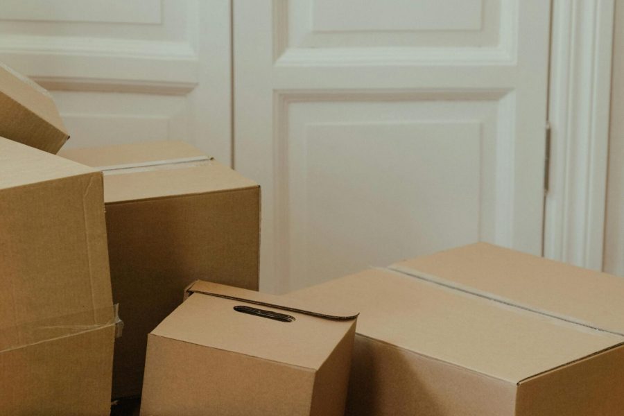 pexels cottonbro 4553261